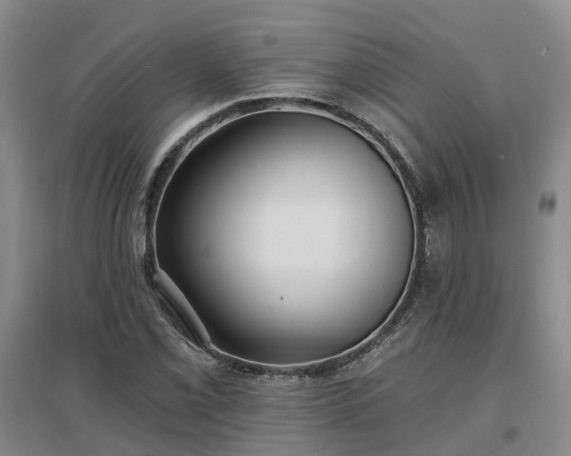 X0000096991069200802151347