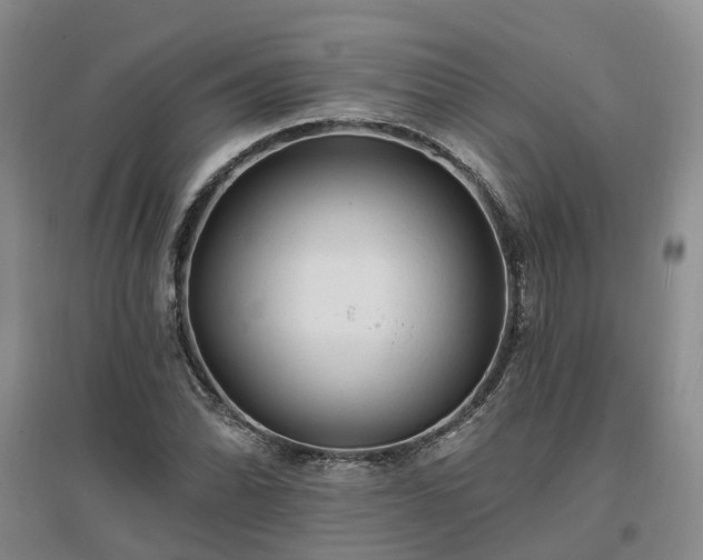 X0000096991070200802151347
