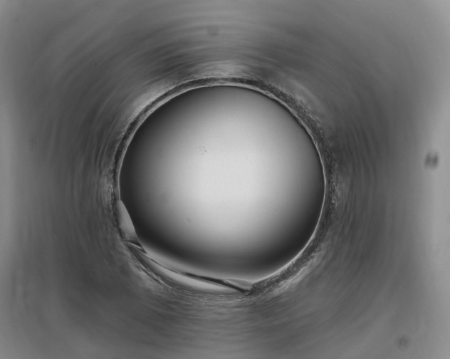 X0000096991073200802151347