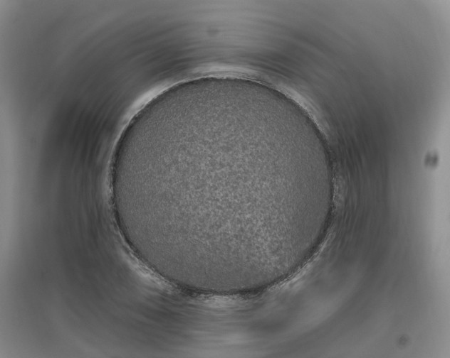 X0000096991074200802151347
