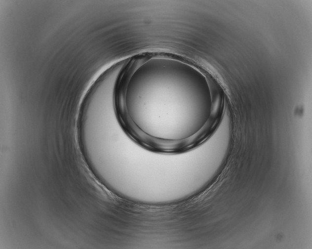 X0000096991076200802151347