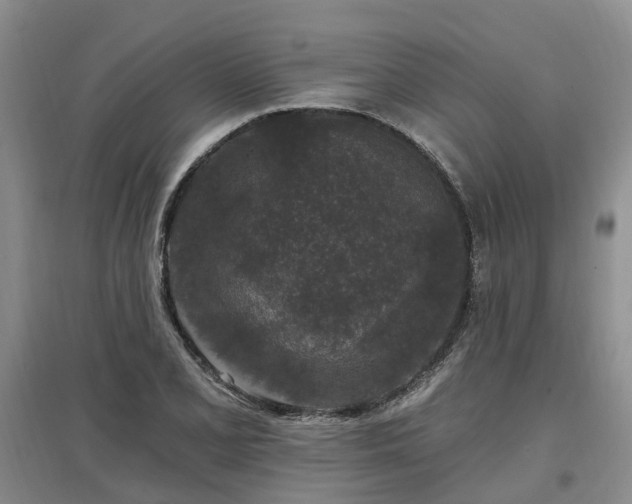 X0000096991077200802151347