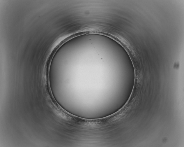 X0000096991078200802151347