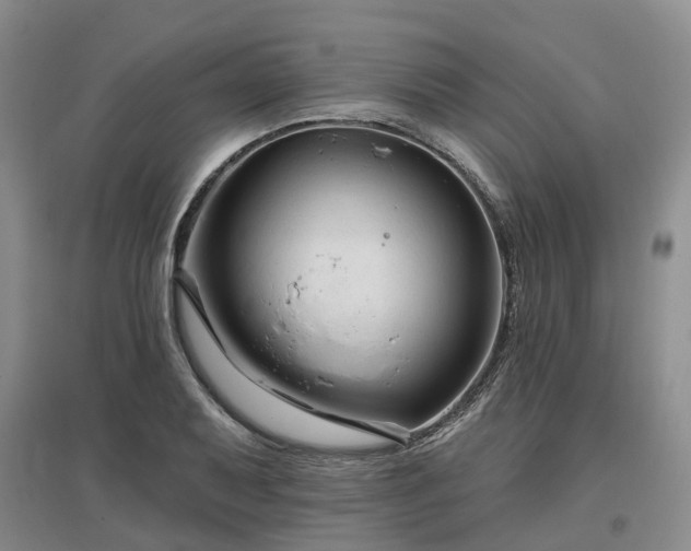 X0000096991079200802151347