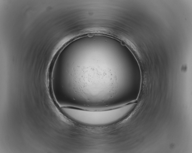 X0000096991082200802151347