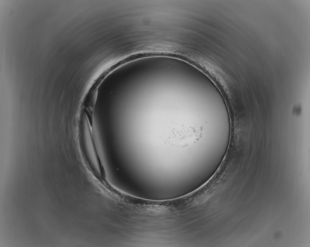 X0000096991085200802151347