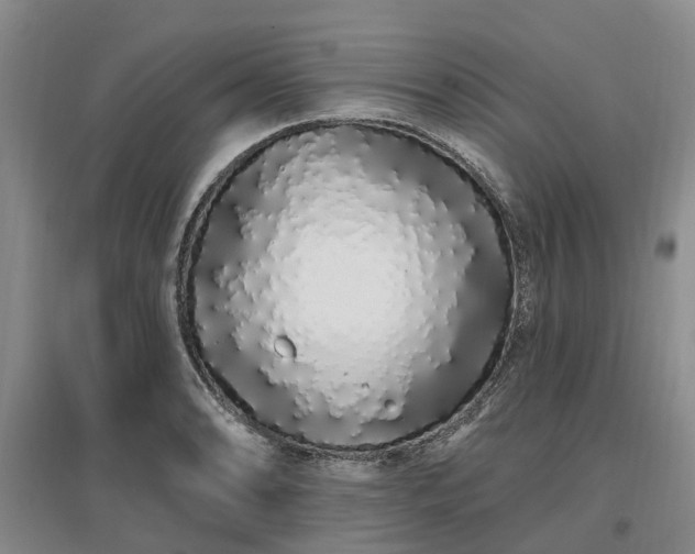 X0000096991086200802151347