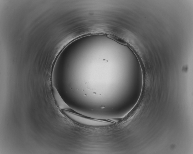 X0000096991089200802151347