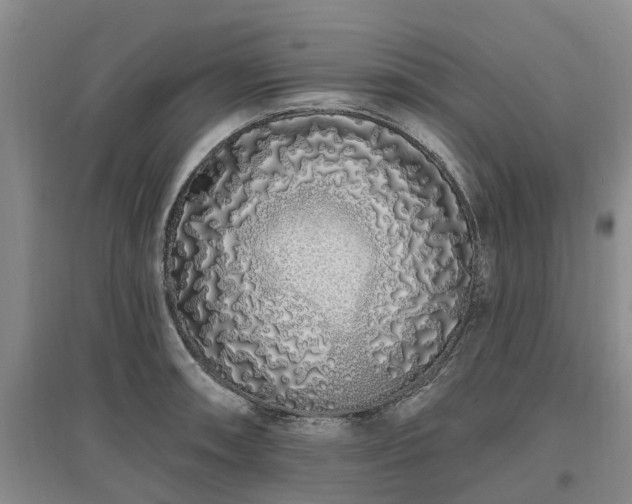 X0000096991090200802151347