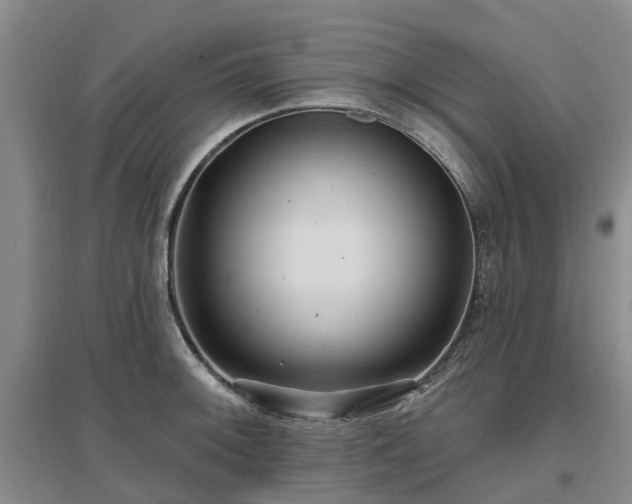 X0000096991092200802151347