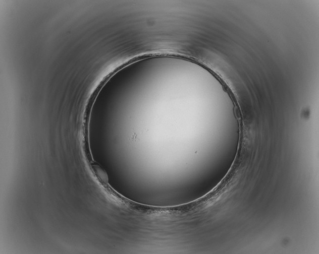 X0000096991093200802151347