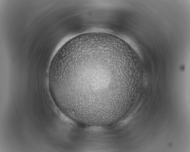 X0000096991094200802151347
