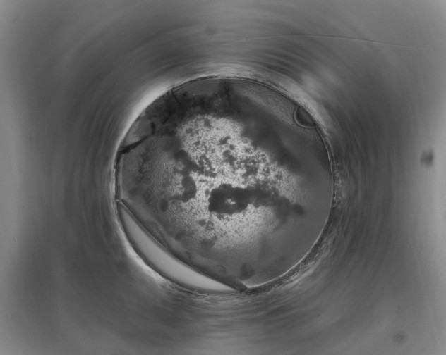 X0000096991095200802151347
