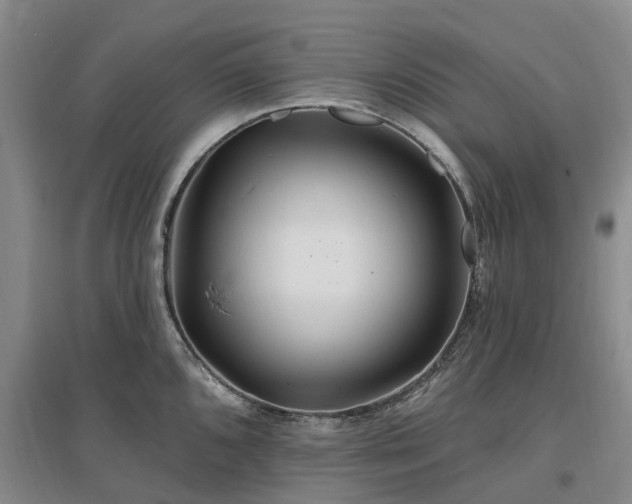 X0000096991096200802151347