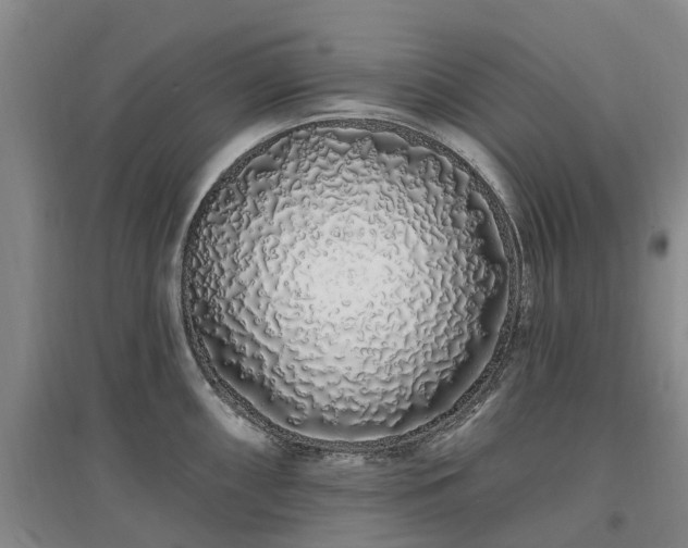 X0000096991098200802151347