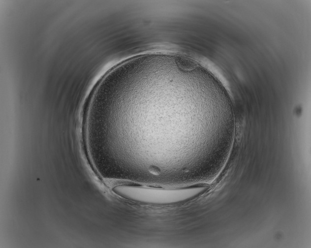 X0000096991099200802151347