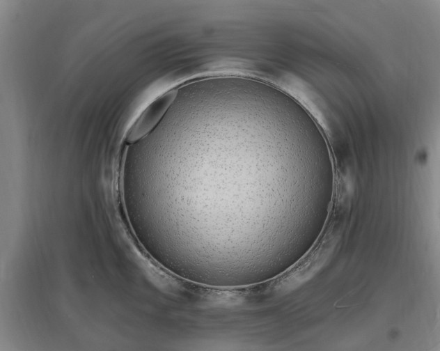 X0000096991101200802151347