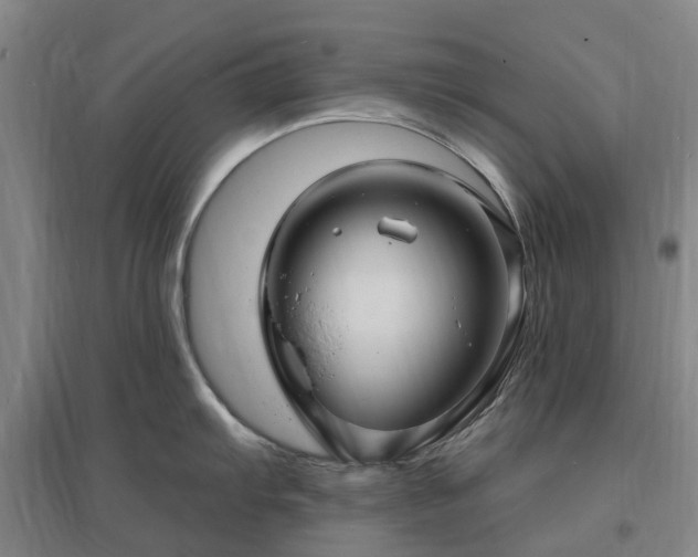 X0000096991103200802151347