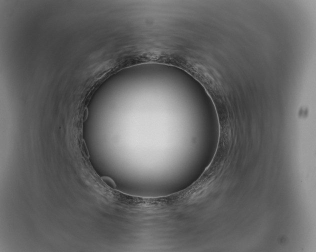 X0000096991105200802151346