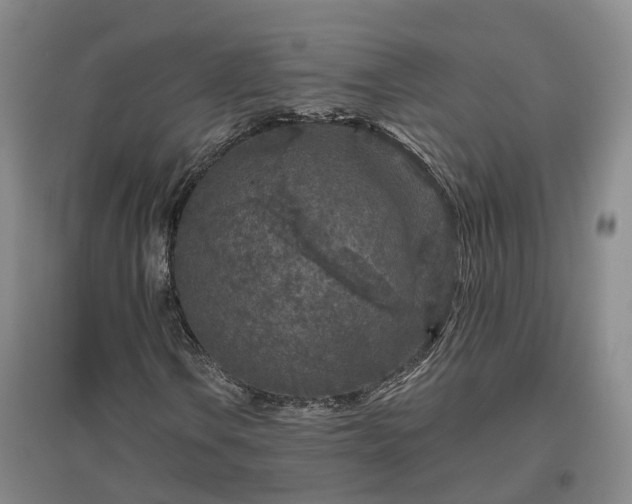 X0000096991106200802151346