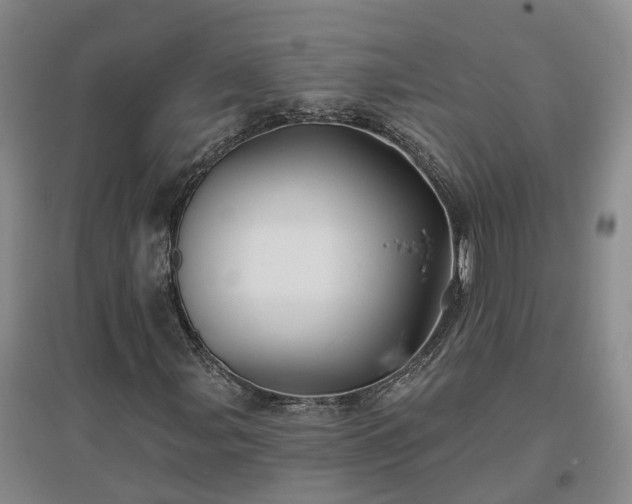 X0000096991107200802151346