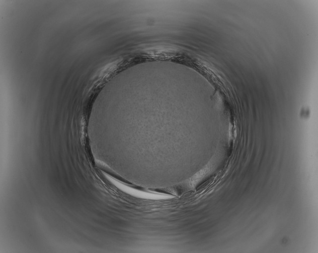 X0000096991108200802151346