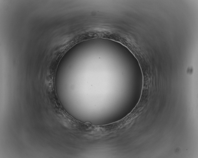 X0000096991109200802151346