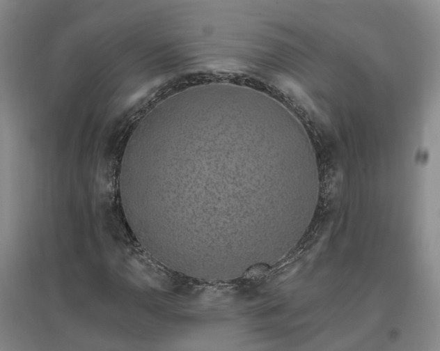 X0000096991110200802151346