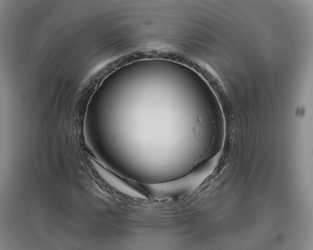 X0000096991112200802151346