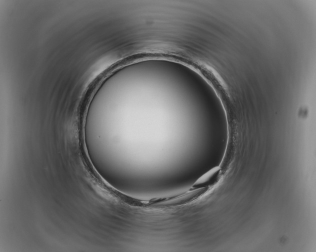 X0000096991114200802151346