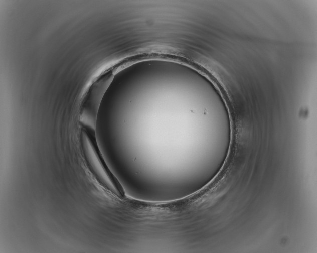 X0000096991115200802151346