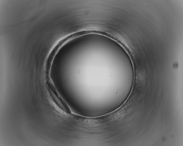 X0000096991116200802151346