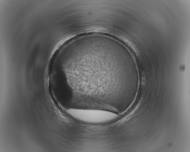 X0000096991117200802151346