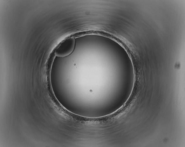 X0000096991118200802151346