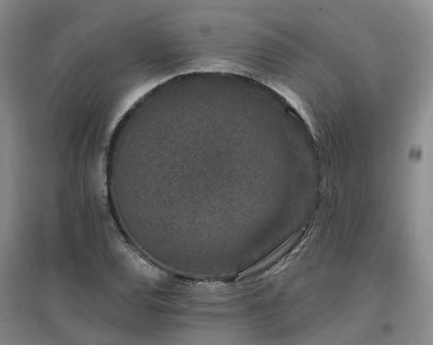 X0000096991120200802151346