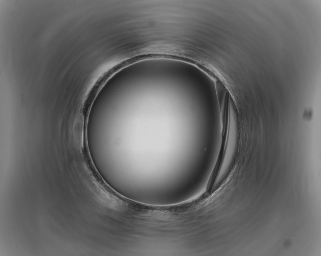 X0000096991123200802151346