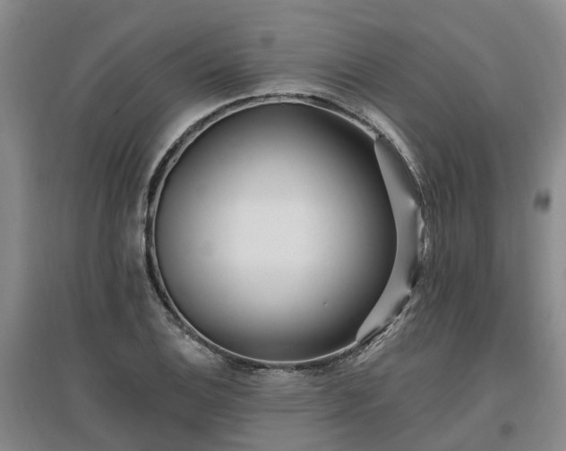 X0000096991124200802151346