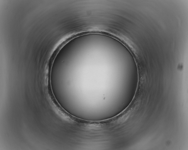 X0000096991126200802151346