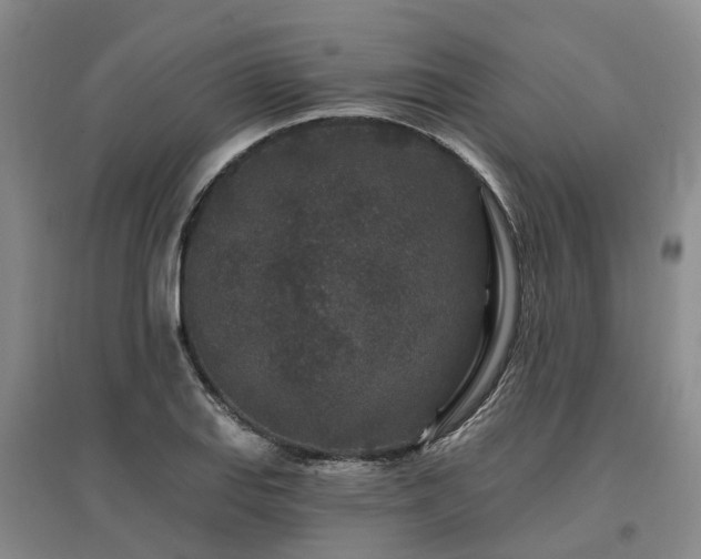 X0000096991127200802151346