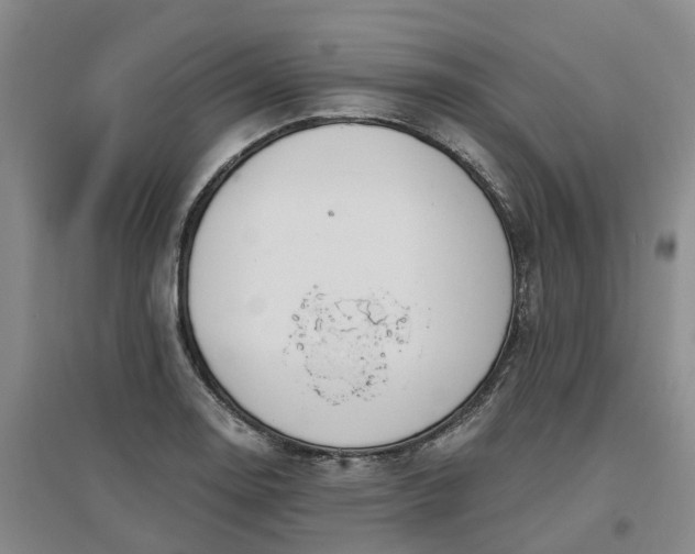 X0000096991130200802151346
