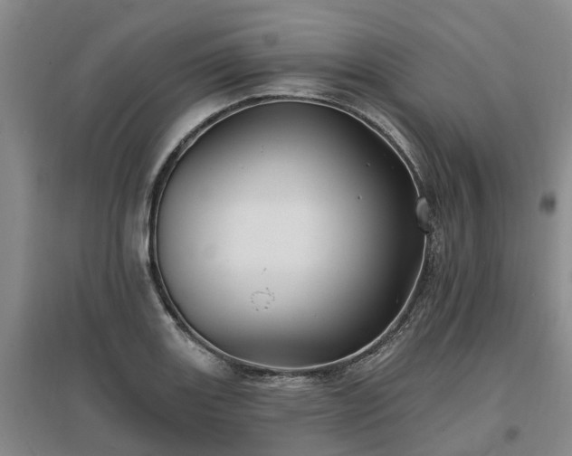 X0000096991131200802151346