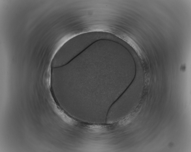 X0000096991132200802151346