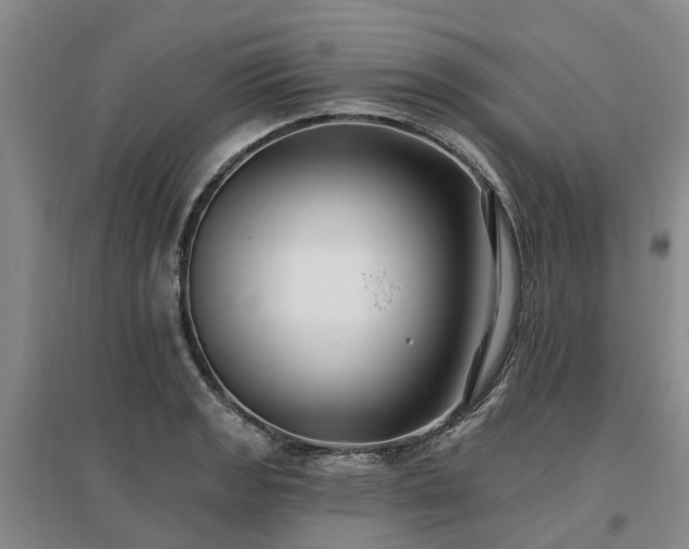 X0000096991133200802151346