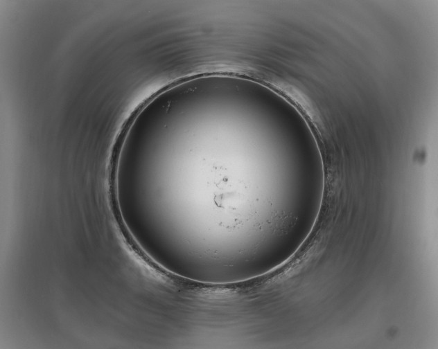 X0000096991135200802151346