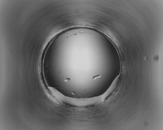 X0000096991136200802151347