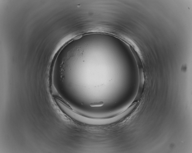 X0000096991138200802151347
