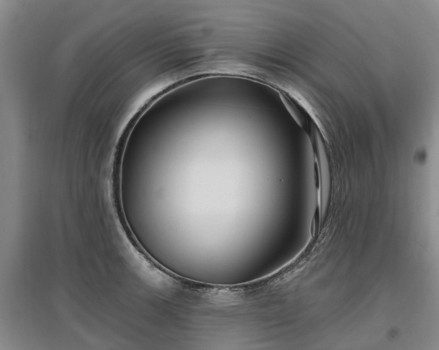 X0000096991139200802151347