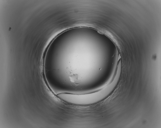 X0000096991140200802151347