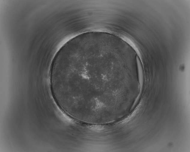 X0000096991141200802151347