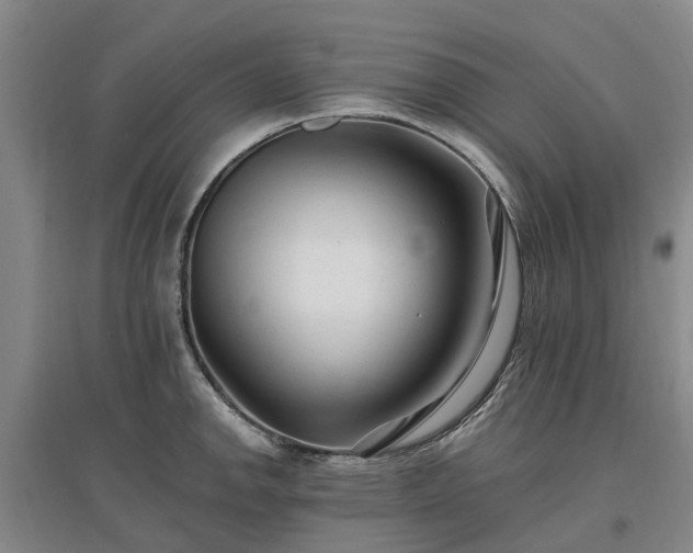X0000096991142200802151347